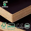 Waterproof Glossy Laminated Plywood Options